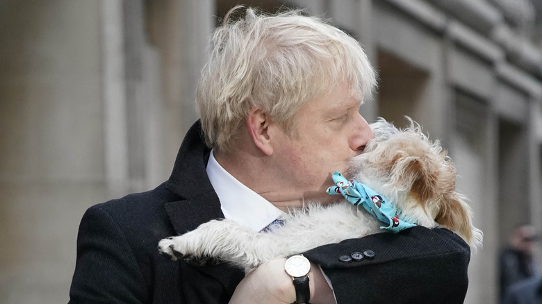 Boris Johnson kissing his dog Dilyn 