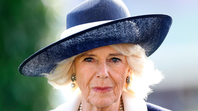 Camilla Parker Bowles with blue hat