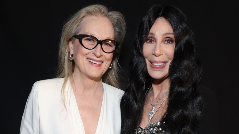 Meryl Streep and Cher at the 2024 iHeartRadio Music Awards