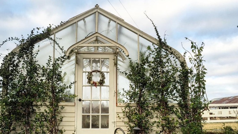 Chip and Joanna Gaines' greenhouse