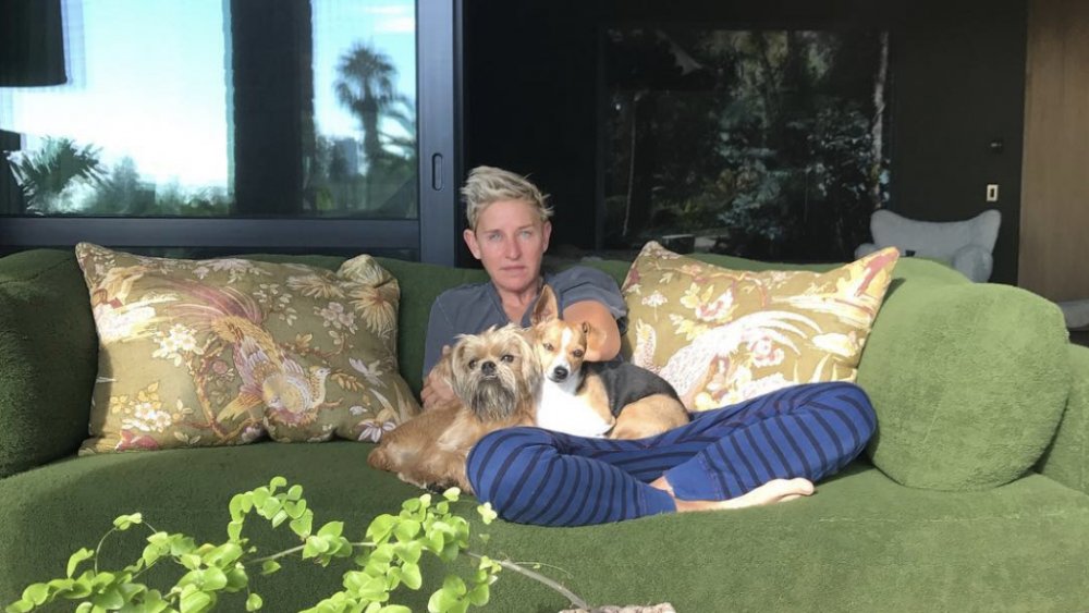 Ellen DeGeneres at home