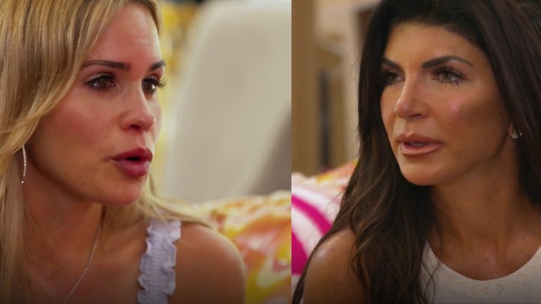 Inside Jackie Goldschneider And Teresa Giudice's Fight On The Real ...