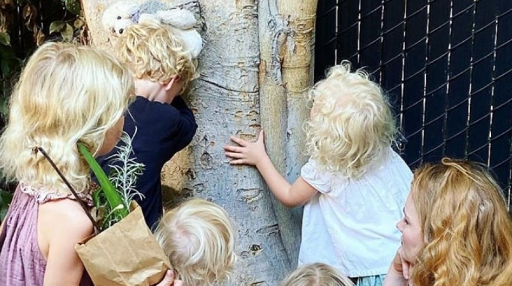 The Van Der Beeks say goobye to their tree