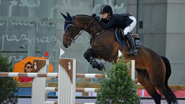 Jennifer Gates on a horse 