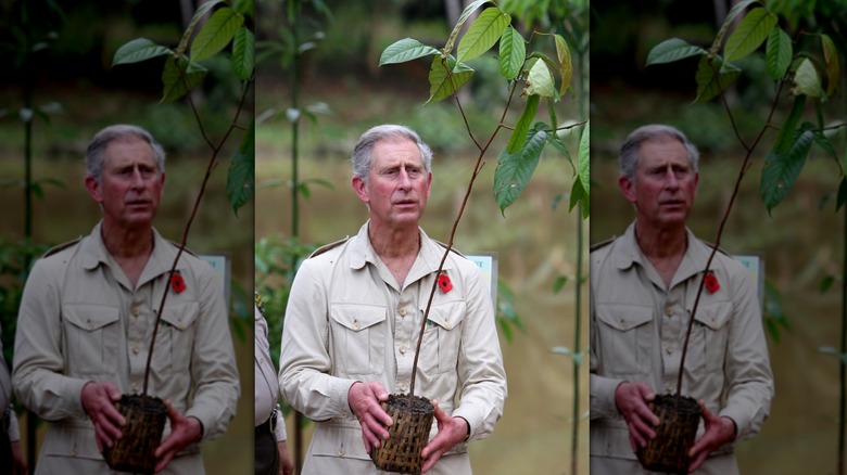 King Charles III planting trees