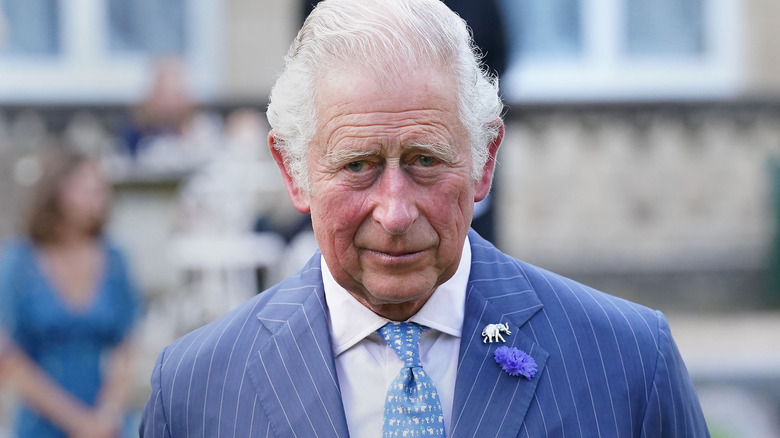 King Charles wearing blue suit outside