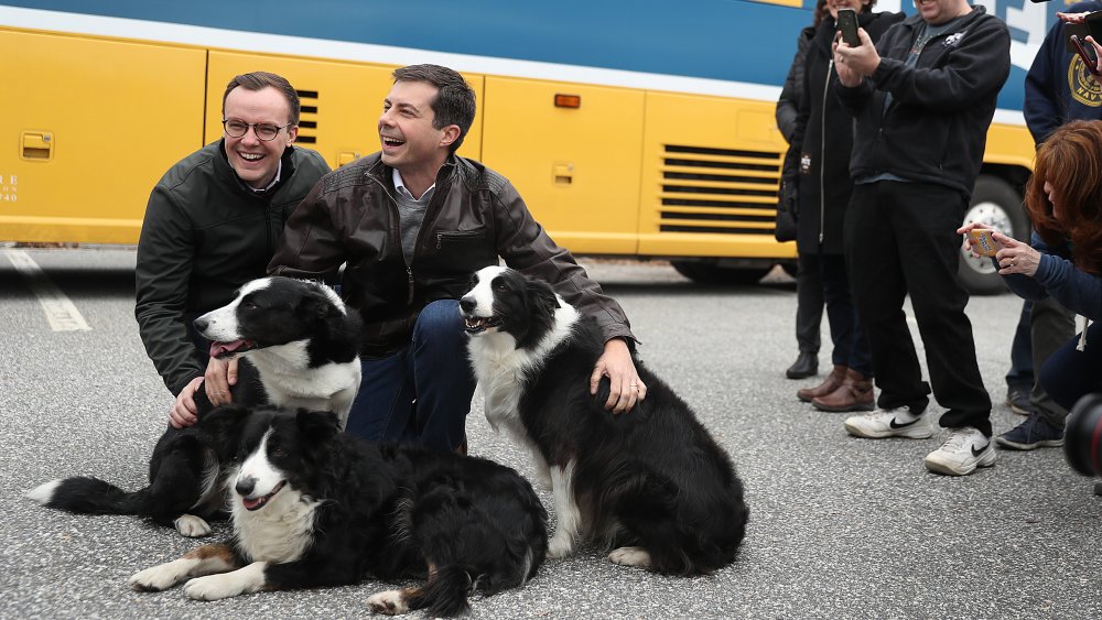 Pete and Chasten Buttigieg with dogs