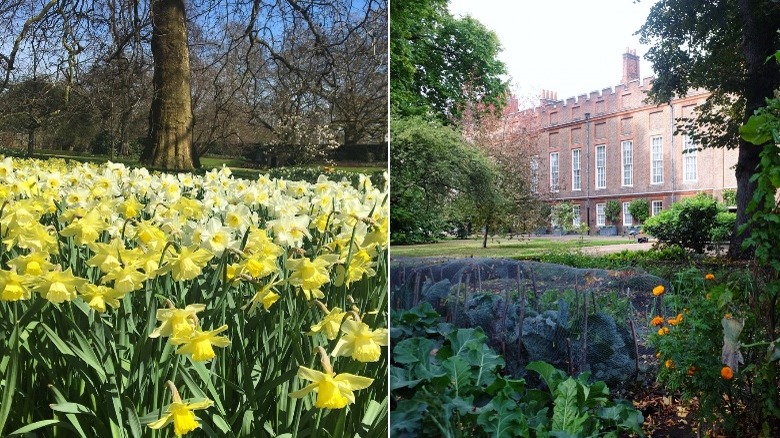 Clarence House Gardens