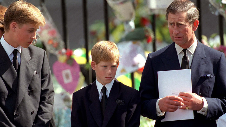 William and Harry at funeral