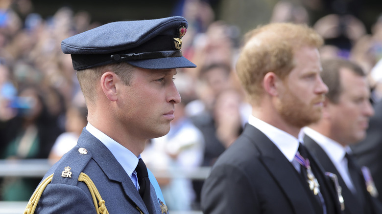 Prince Harry and Prince William at memorial 