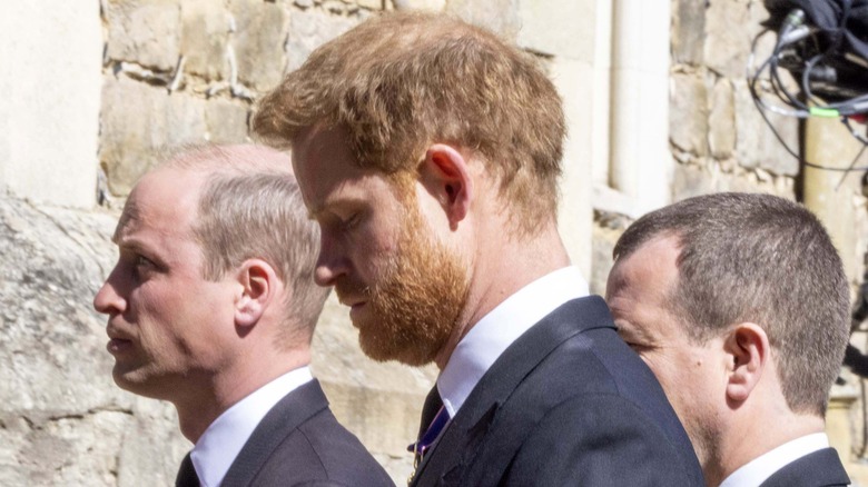 Prince Harry and Prince William solumn