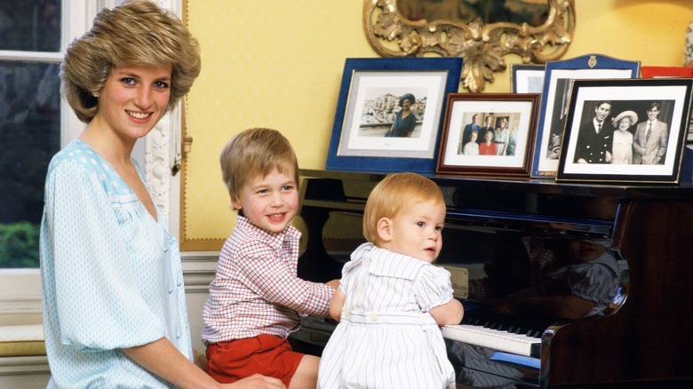 Princess Diana, Prince William, Prince Harry