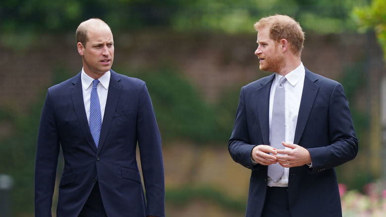 William and Harry at Diana memorial in 2021 