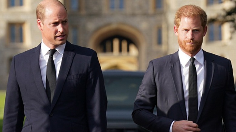 William and Harry at Windsor walkabout 