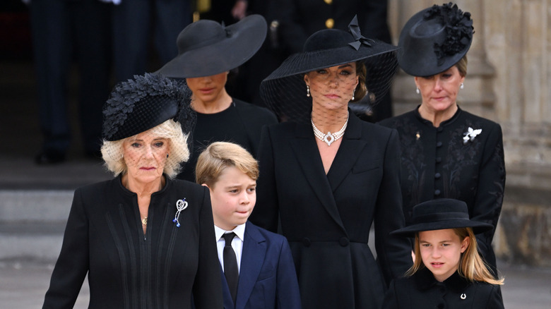 The British royal family at Queen Elizabeth II's funeral