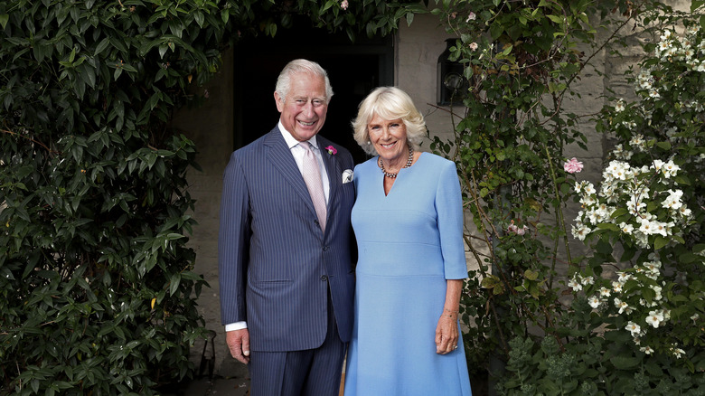 Charles and Camilla portrait 