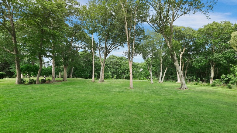 Outdoor area of Rachael Ray's Southampton home