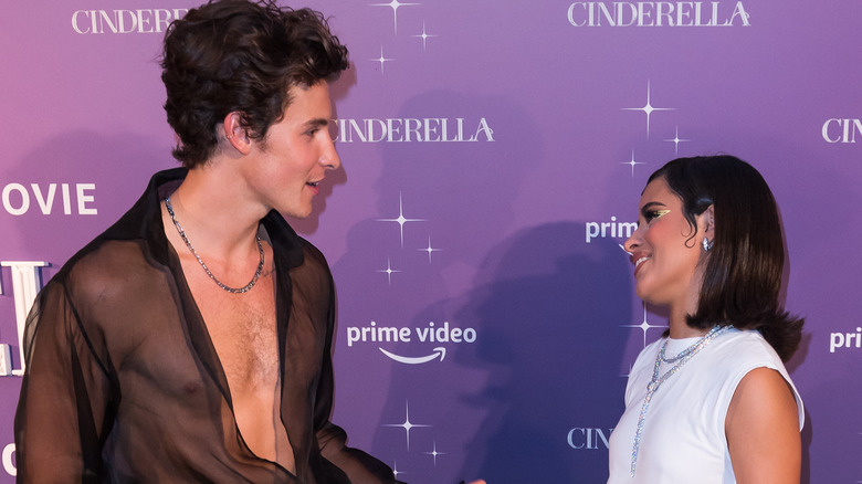 Shawn Mendes, Camila Cabello gazing at each other