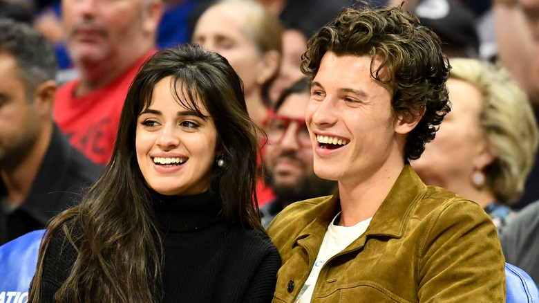 Camila Cabello, Shawn Mendes smiling at game