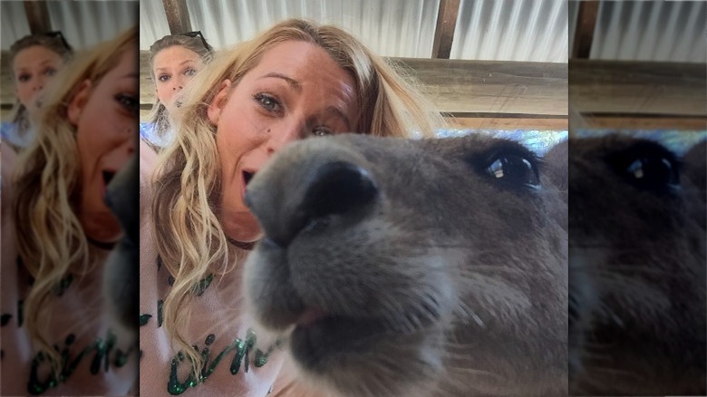 Blake Lively and Taylor Swift with kangaroo