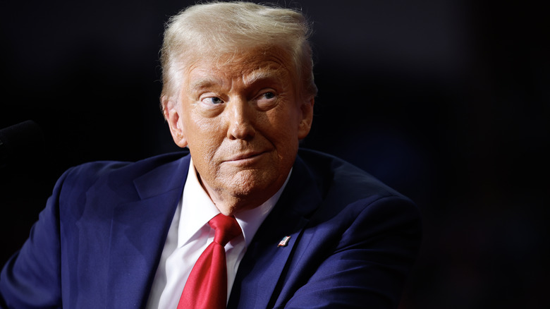 Donald Trump looking smug in a suit with a red tie