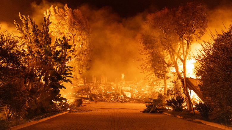 Los Angeles wildfire picture