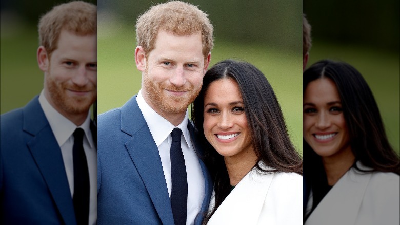 Harry and Meghan engagement photo