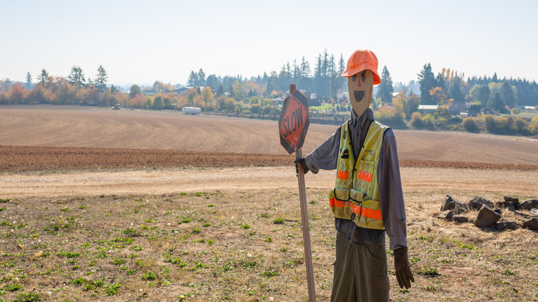 Scarecrow at Roloff Farm