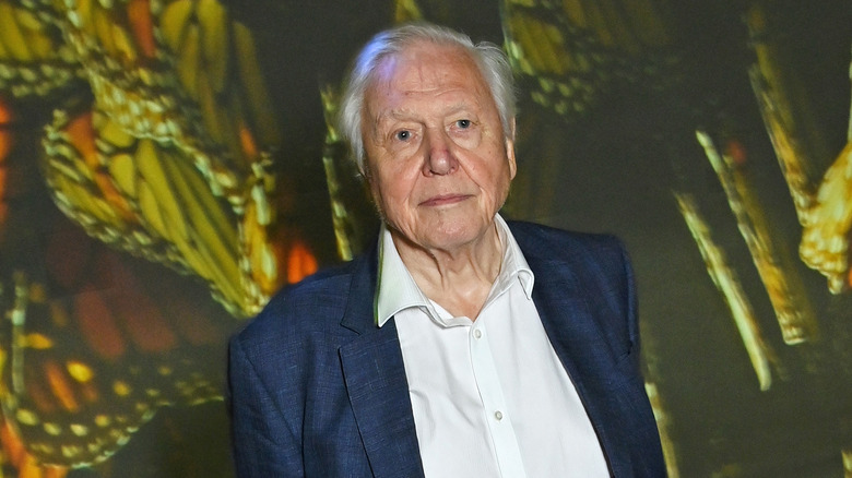 David Attenborough looking on