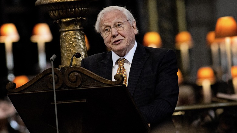 David Attenborough speaking at a podium 