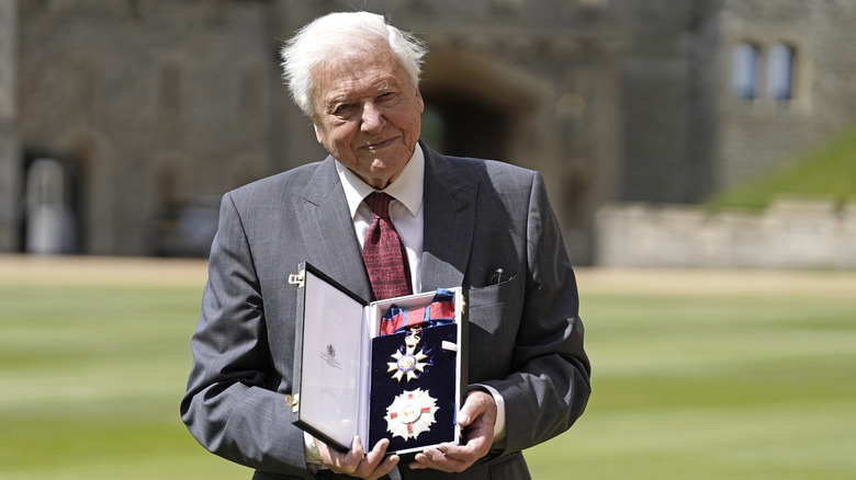 David Attenborough displaying his knight insignia 