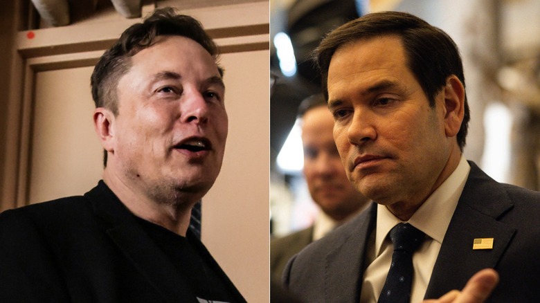 Split image of Elon Musk and Marco Rubio