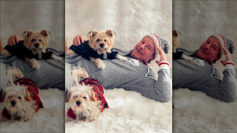 Ty Pennington with his dogs