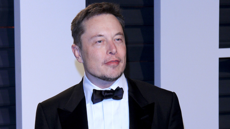 Elon Musk posing 