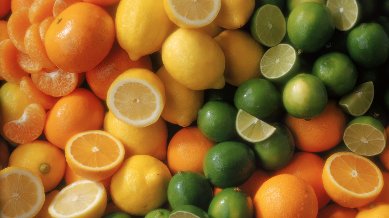 citrus fruits on display