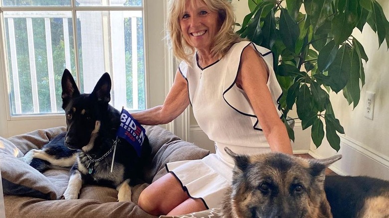 Jill Biden with dogs Champ and Major