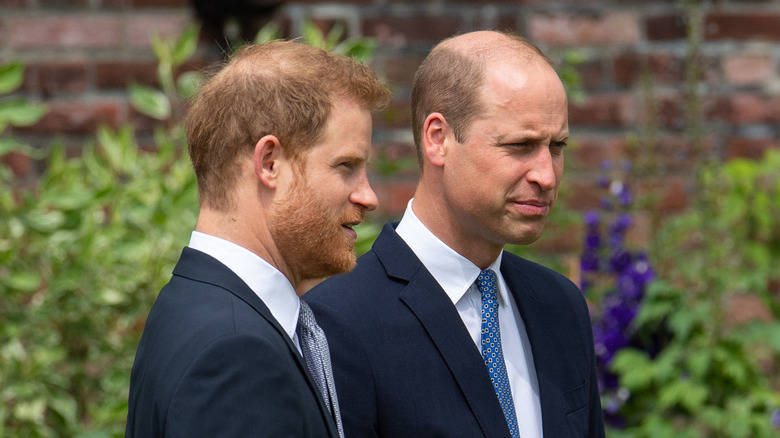 Prince Harry and Prince William