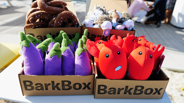 BarkBox on display at Yappie Hour hosted by Rachael Ray