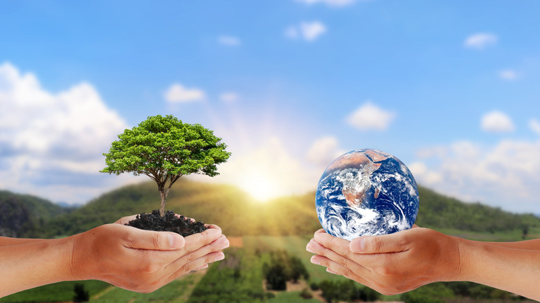 pairs of hands holding a tree and the earth