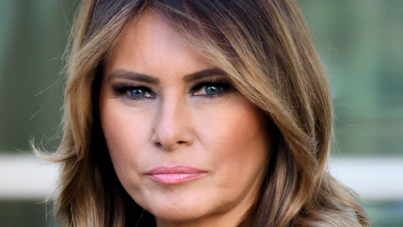 Is This How Melania Trump Really Feels About All The Books Being ...