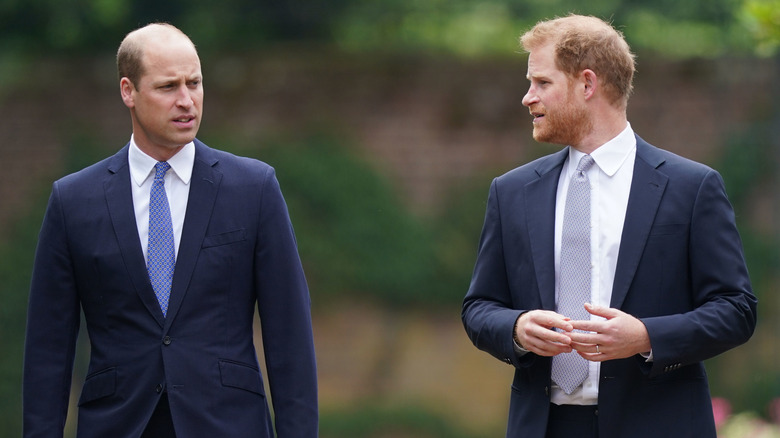 Princes William and Harry at Diana's statue unveiling 