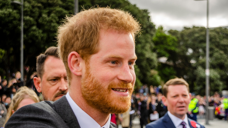 Prince Harry greets fans at an event.