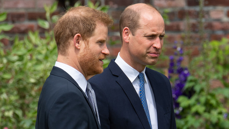 Princes William and Harry at Diana's statue unveiling