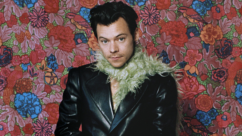 Harry Styles in a boa