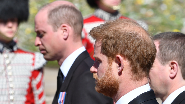 Princes William and Harry at Prince Philip funeral