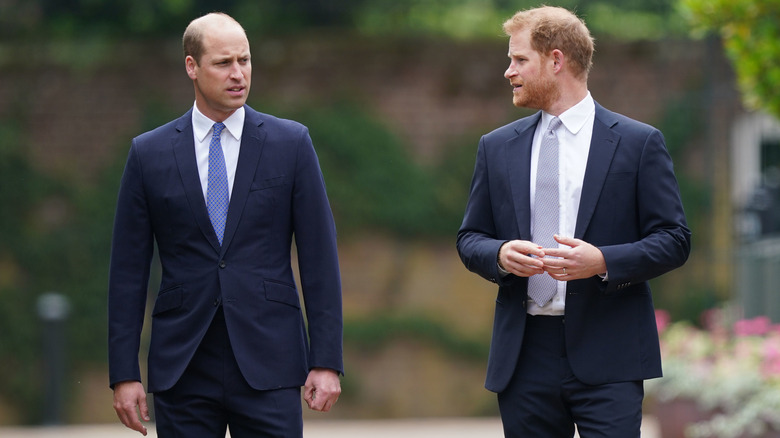 Prince Harry looks at Prince William while they walk together