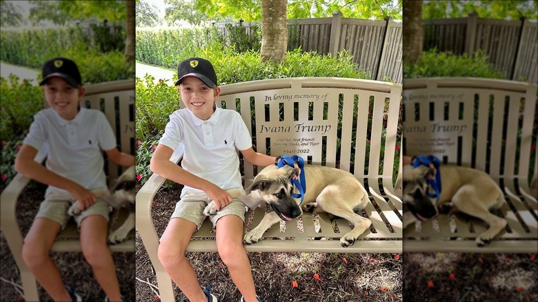 Joseph Kushner and Simba on a Ivana Trump memorial bench