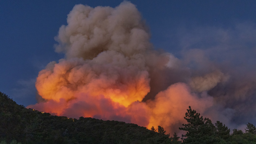 California forest fire