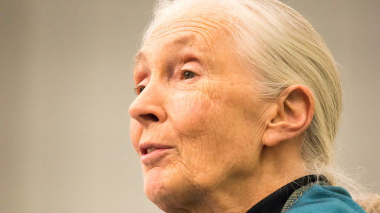 Jane Goodall