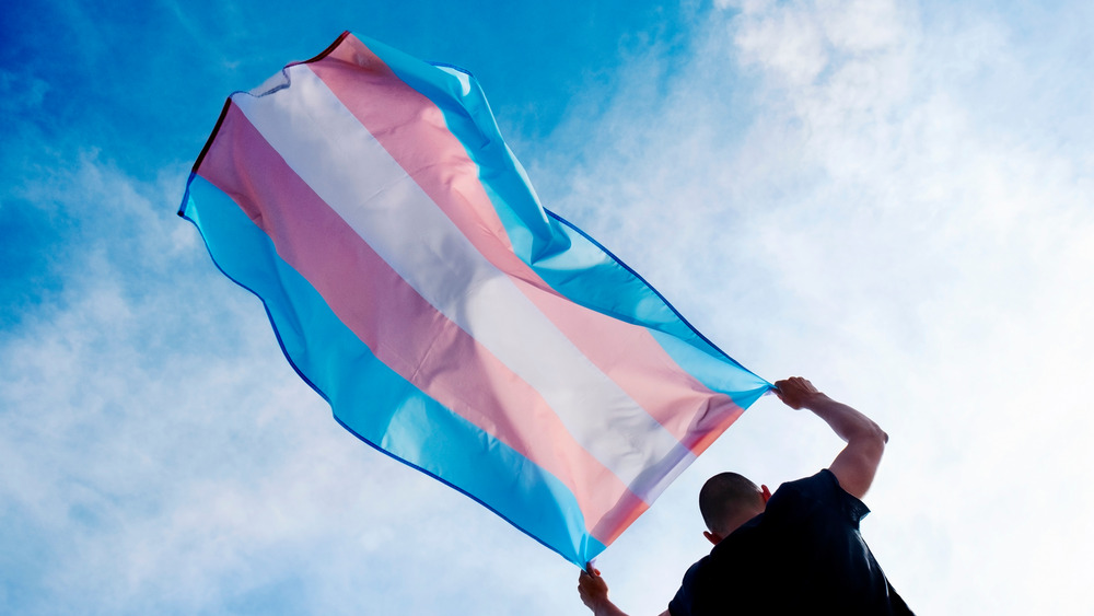 Transgender flag